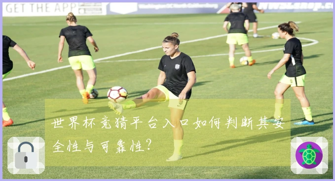 世界杯竞猜平台入口如何判断其安全性与可靠性？