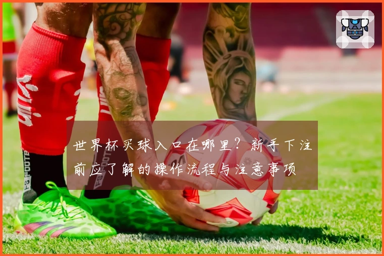 世界杯买球入口在哪里？新手下注前应了解的操作流程与注意事项