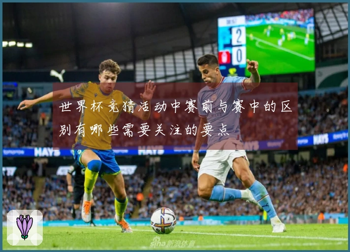 世界杯竞猜活动中赛前与赛中的区别有哪些需要关注的要点