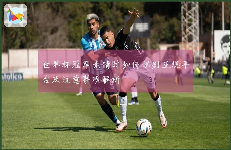 世界杯冠军竞猜时如何识别正规平台及注意事项解析