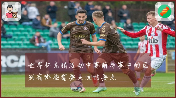 世界杯竞猜活动中赛前与赛中的区别有哪些需要关注的要点