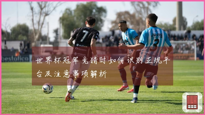 世界杯冠军竞猜时如何识别正规平台及注意事项解析