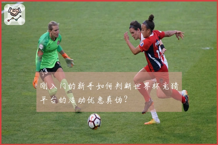 刚入门的新手如何判断世界杯竞猜平台的活动优惠真伪？