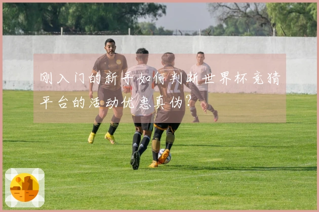 刚入门的新手如何判断世界杯竞猜平台的活动优惠真伪？
